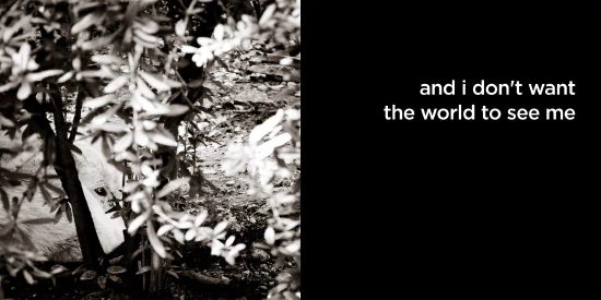 and i don’t want the world to see me