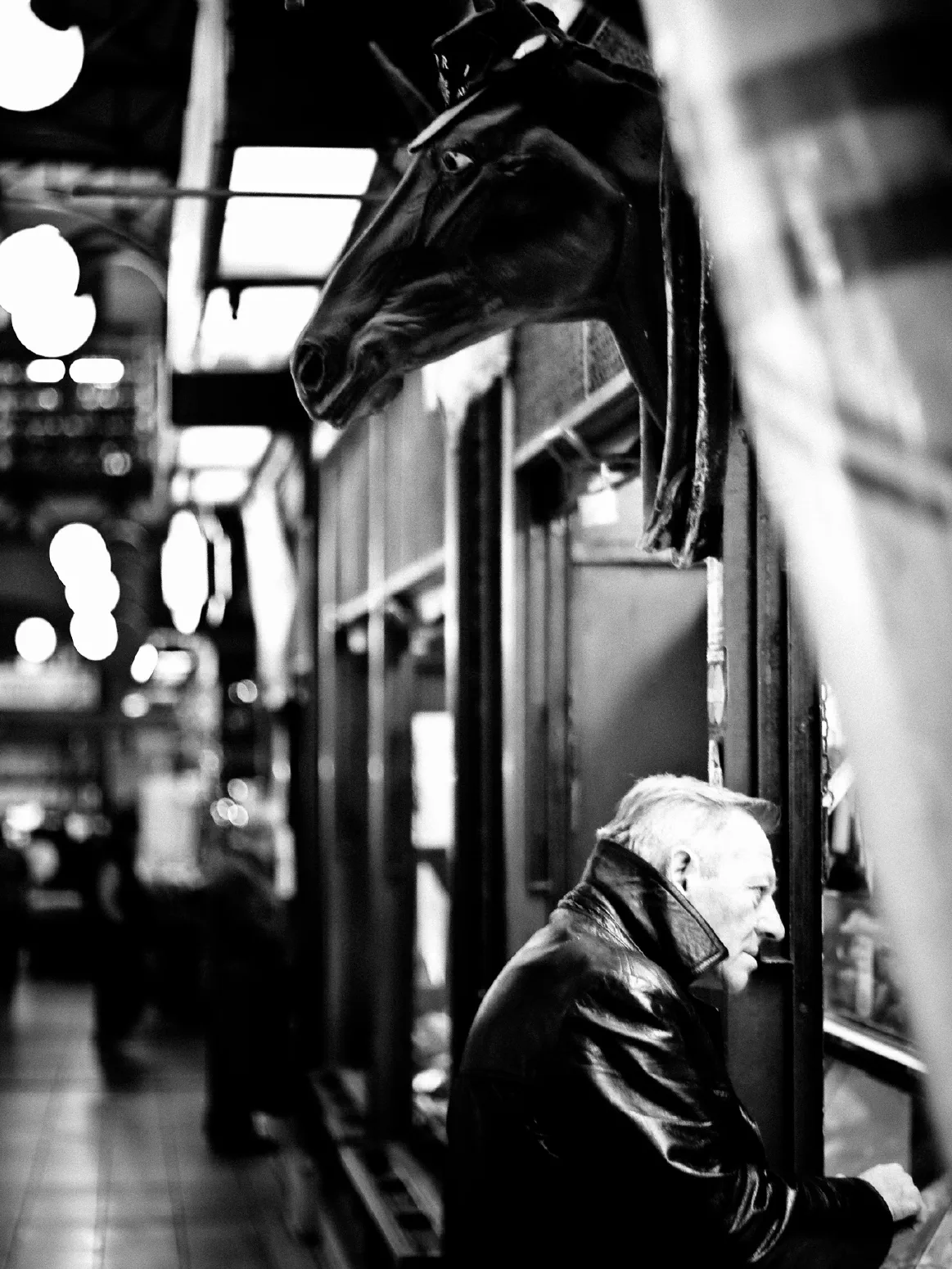 PFERDEKOPF | HORSEHEAD. Grosse Markthalle, Budapest. November 2009